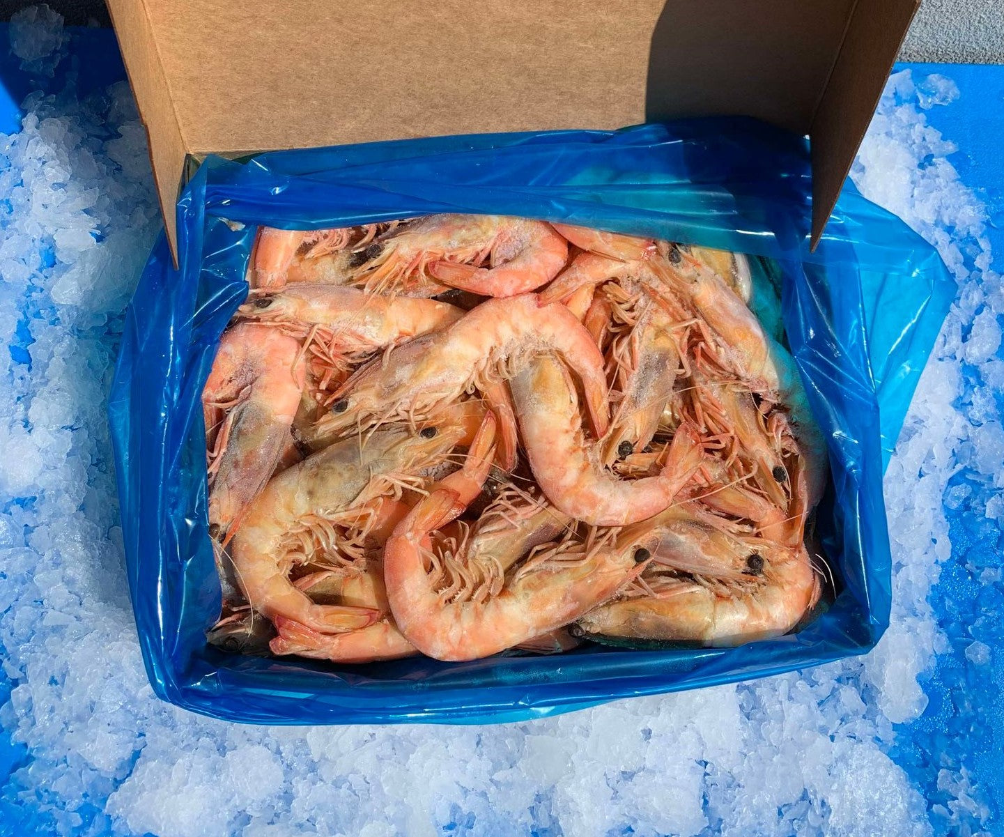 WHOLE COOKED SA KING PRAWNS - 5KG BOX PURCHASES. (10-20% DISCOUNT PER KG FOR BOXED PURCHASES. DISCOUNT VARIES DEPENDING ON PRAWN SIZE AND ARE ALREADY APPLIED TO THE PRICES BELOW)