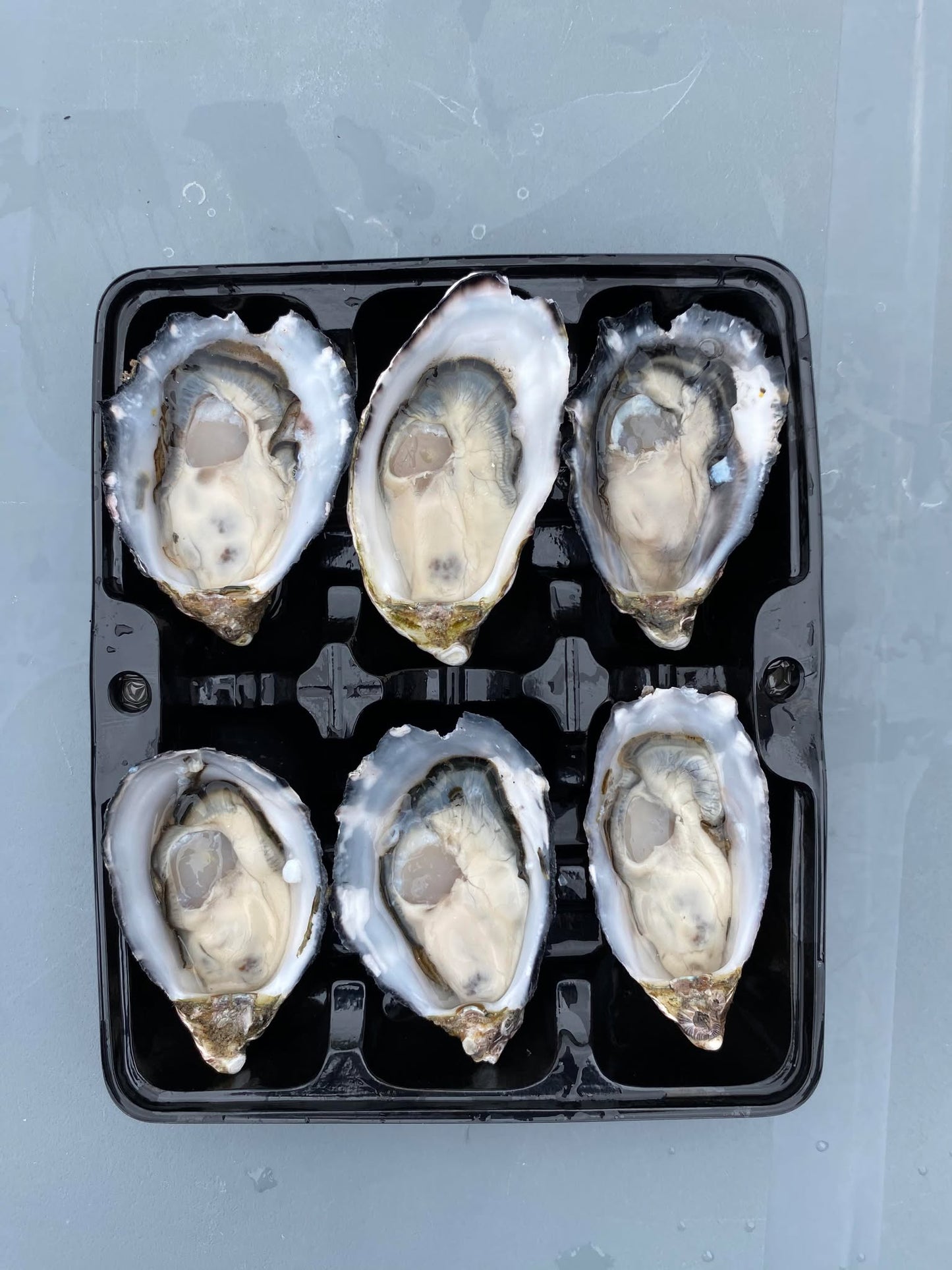 1/2 DOZEN SHUCKED OYSTERS (FRESH)