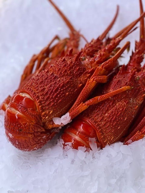 CRAYFISH