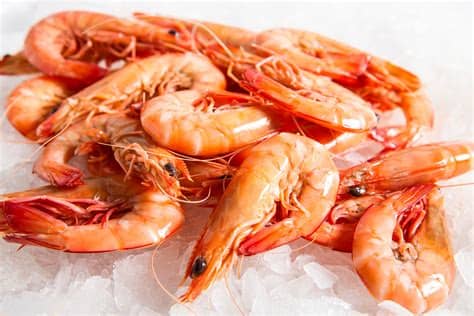 PRAWNS