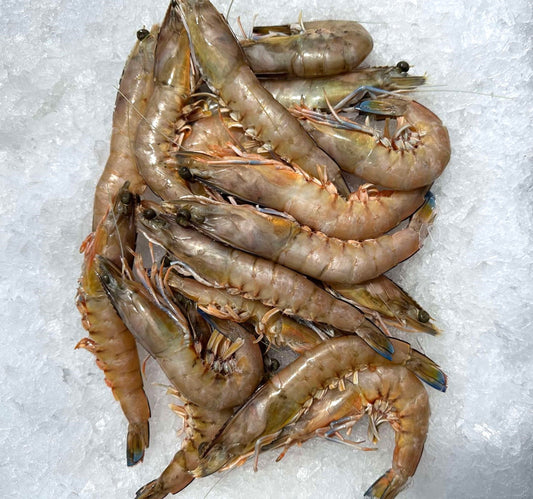 WHOLE GREEN (RAW) SA KING PRAWNS - PER KG PURCHASE