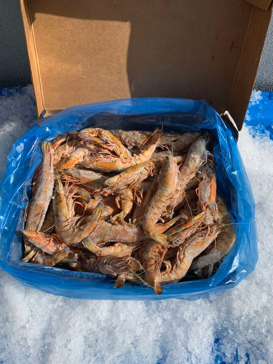 WHOLE GREEN (RAW) SA KING PRAWNS - 5KG BOX PURCHASES. (10-20% DISCOUNT PER KG FOR BOXED PURCHASES. DISCOUNT VARIES DEPENDING ON PRAWN SIZE AND ARE ALREADY APPLIED TO THE PRICES BELOW)
