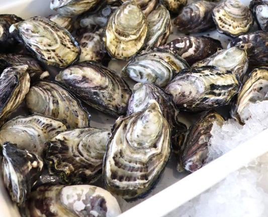 1 DOZEN UNSHUCKED OYSTERS (FRESH)