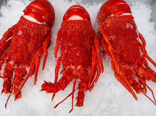 WHOLE CRAYFISH (UNCLEANED AS PER PHOTO)
