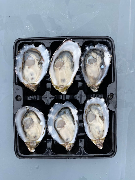 1/2 DOZEN SHUCKED OYSTERS (FRESH)