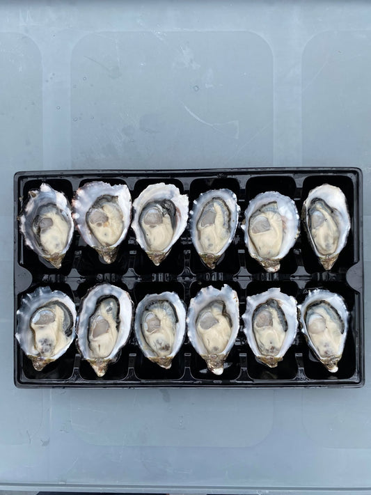 1 DOZEN SHUCKED OYSTERS (FRESH)